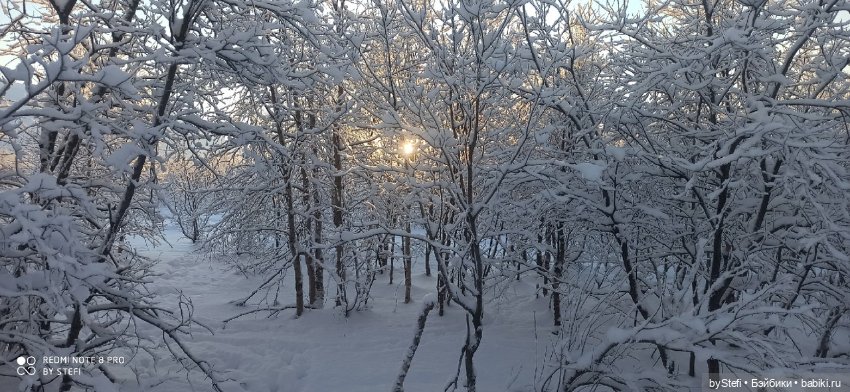 Возвращение солнышка в Заполярье. 30.01.2022. Приглашаю прогуляться