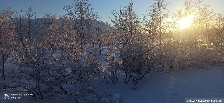 Возвращение солнышка в Заполярье. 30.01.2022. Приглашаю прогуляться
