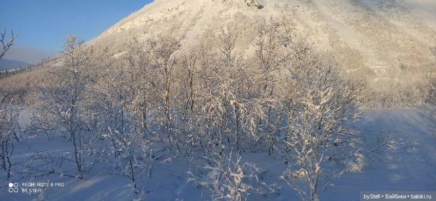Возвращение солнышка в Заполярье. 30.01.2022. Приглашаю прогуляться