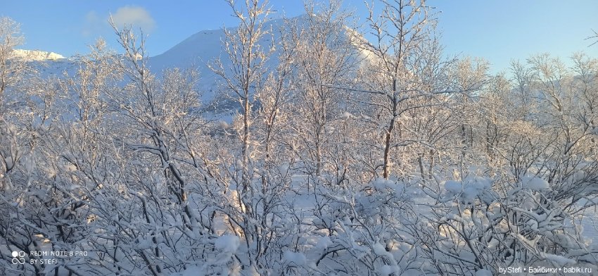 Возвращение солнышка в Заполярье. 30.01.2022. Приглашаю прогуляться (фото 10)
