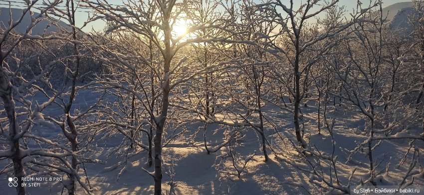 Возвращение солнышка в Заполярье. 30.01.2022. Приглашаю прогуляться