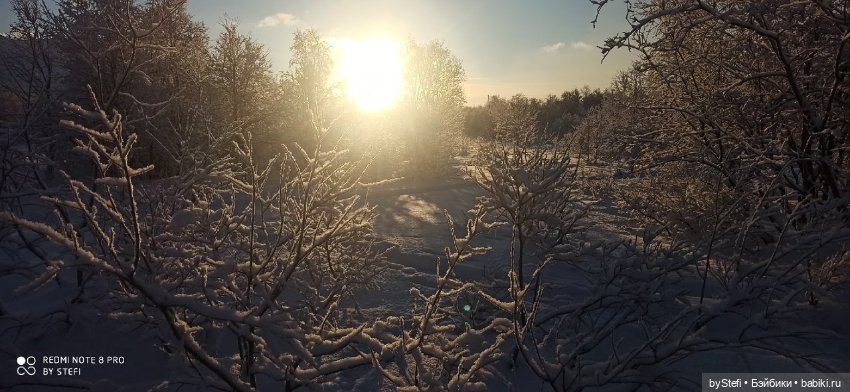Возвращение солнышка в Заполярье. 30.01.2022. Приглашаю прогуляться