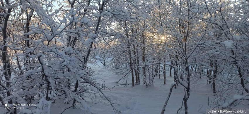 Возвращение солнышка в Заполярье. 30.01.2022. Приглашаю прогуляться