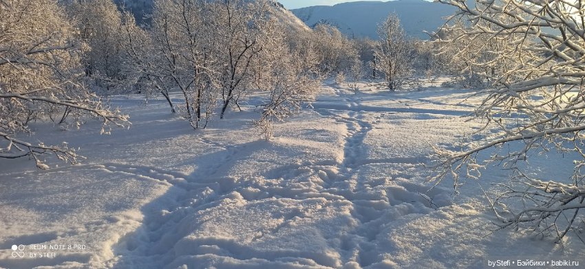 Возвращение солнышка в Заполярье. 30.01.2022. Приглашаю прогуляться