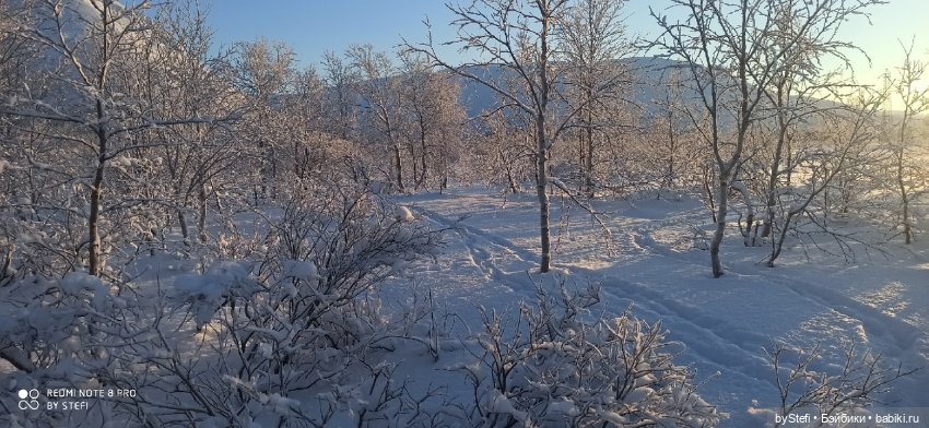 Возвращение солнышка в Заполярье. 30.01.2022. Приглашаю прогуляться (фото 7)