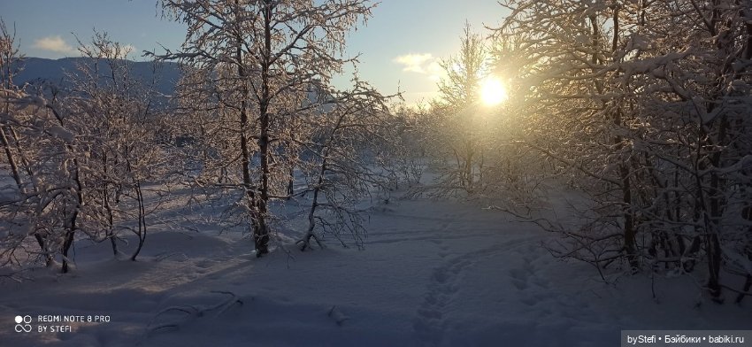 Возвращение солнышка в Заполярье. 30.01.2022. Приглашаю прогуляться