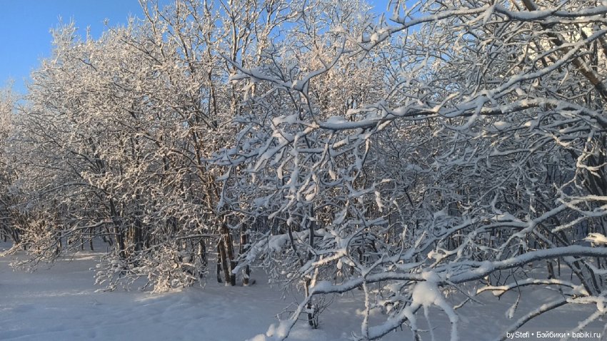 Возвращение солнышка в Заполярье. 30.01.2022. Приглашаю прогуляться