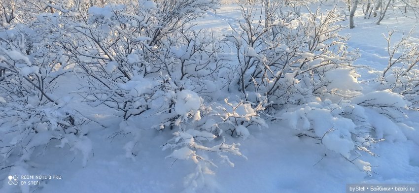 Возвращение солнышка в Заполярье. 30.01.2022. Приглашаю прогуляться