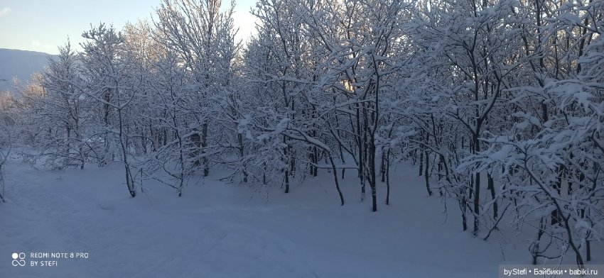 Возвращение солнышка в Заполярье. 30.01.2022. Приглашаю прогуляться