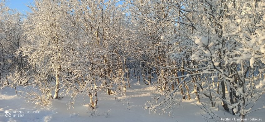 Возвращение солнышка в Заполярье. 30.01.2022. Приглашаю прогуляться