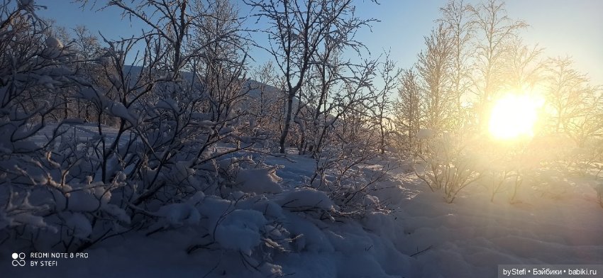 Возвращение солнышка в Заполярье. 30.01.2022. Приглашаю прогуляться (фото 8)