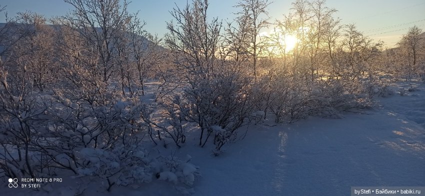Возвращение солнышка в Заполярье. 30.01.2022. Приглашаю прогуляться