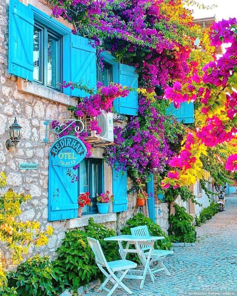 Наши новенькие мальчишки - Николя и Дидье (фото 6)