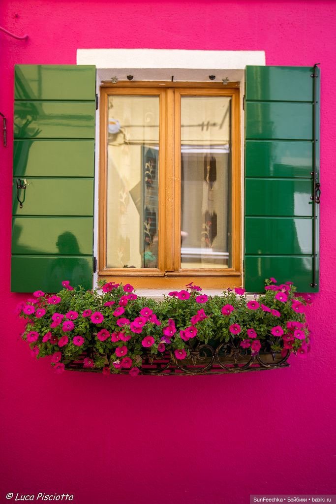 Наши новенькие мальчишки - Николя и Дидье (фото 3)