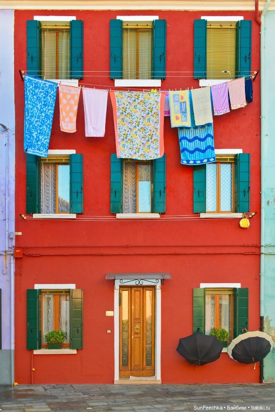 Наши новенькие мальчишки - Николя и Дидье (фото 4)