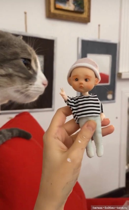 Гибрид, авторская голова на теле минибаболика