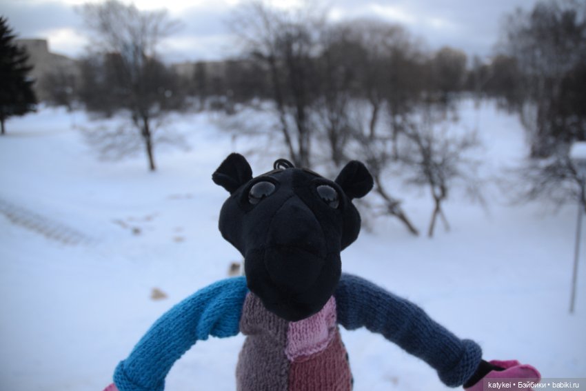 Розовая Пантера (постконкурс)