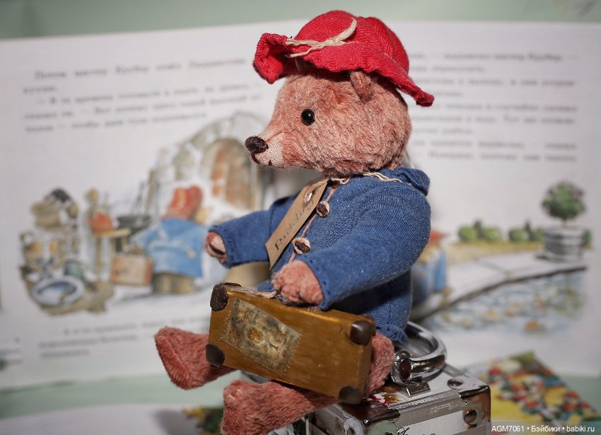 Мишка Тедди/Мишка Паддингтон (фото 5)