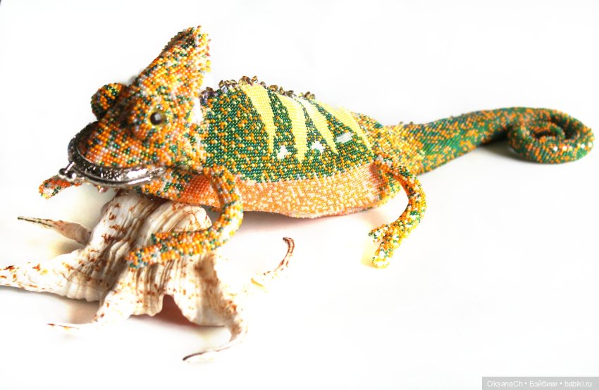 Новые песни о старом — Другие хобби и увлечения: сад (фото 2)