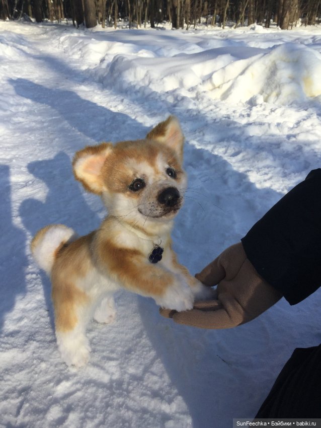 Мы гуляем с Домиником — Домашние фото авторских игрушек: Тедди (фото 7)