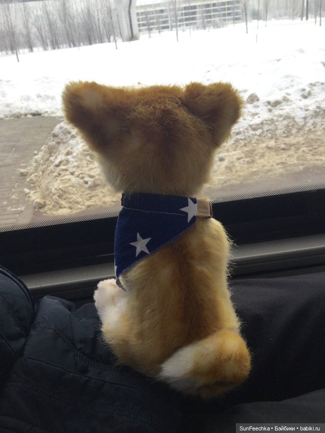 Мы гуляем с Домиником — Домашние фото авторских игрушек: Тедди (фото 2)