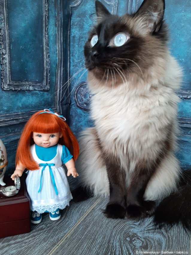 Мои пупсы. Алиса, Айнур и просто Рыжик