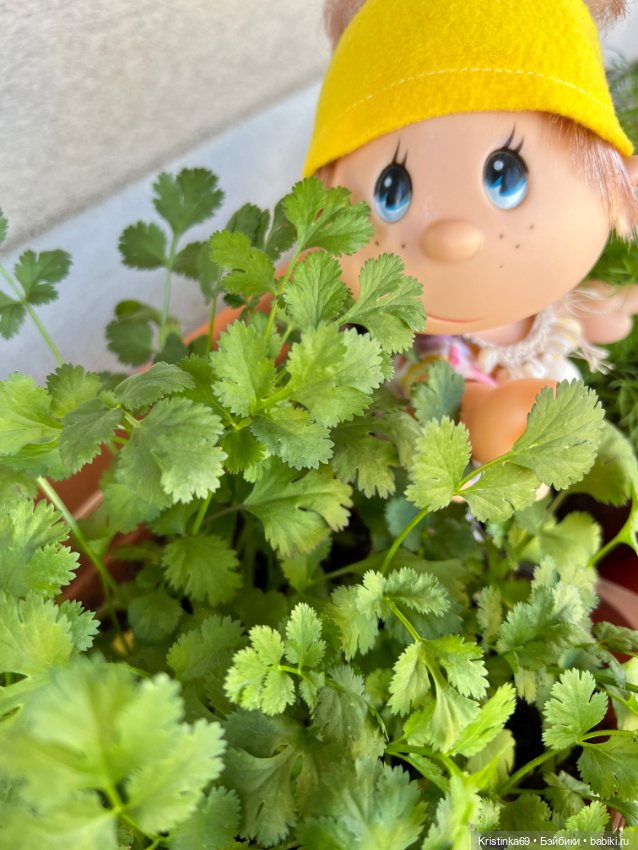 Маленький подарок от Сауле