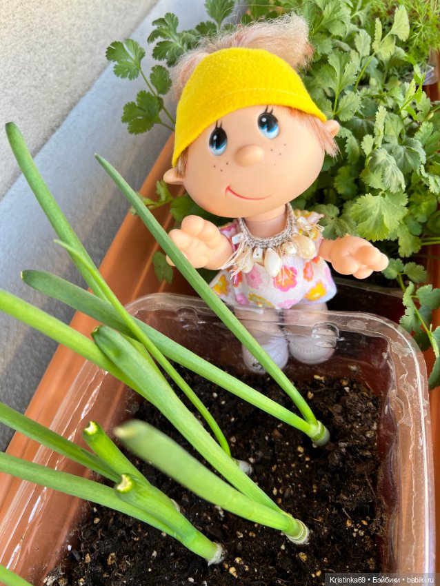 Маленький подарок от Сауле