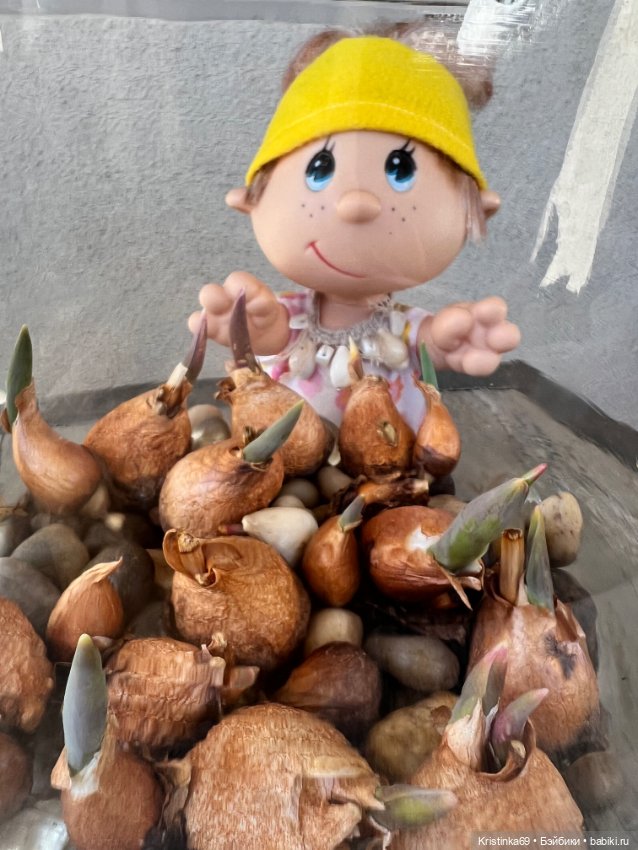 Маленький подарок от Сауле