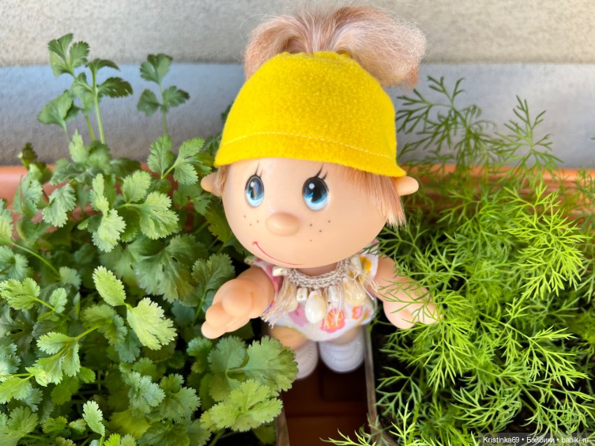 Маленький подарок от Сауле