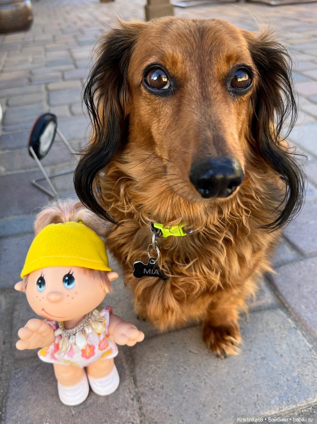 Маленький подарок от Сауле