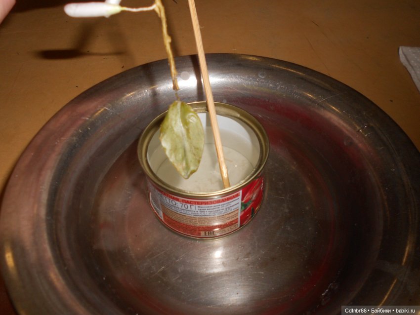 Реставрация антикварной одежды. Часть вторая. Капор