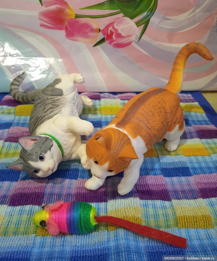 Привет от Рыжика — Куклы с Алиэкспресс (Aliexpress): Китайские шарнирные (фото 3)