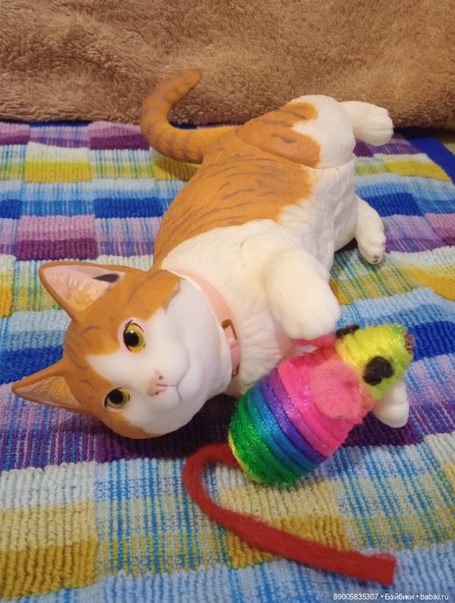 Привет от Рыжика — Куклы с Алиэкспресс (Aliexpress): Китайские шарнирные