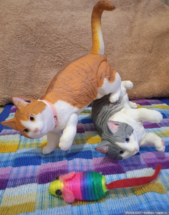 Привет от Рыжика — Куклы с Алиэкспресс (Aliexpress): Китайские шарнирные (фото 4)