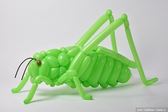 Игрушки из воздушных шариков Masayoshi Matsumoto (фото 9)