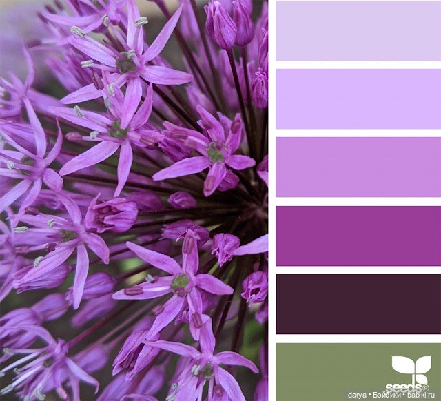 Фиолетовый - сочетание цветов (фото 3)