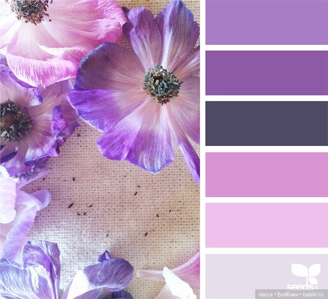 Фиолетовый - сочетание цветов (фото 8)