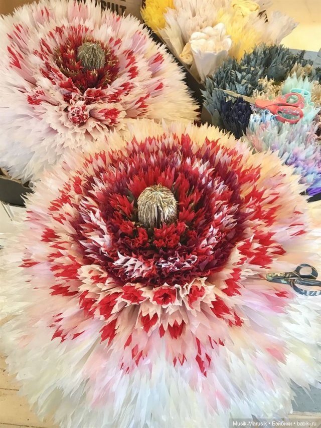 Невероятные бумажные цветы датской художницы