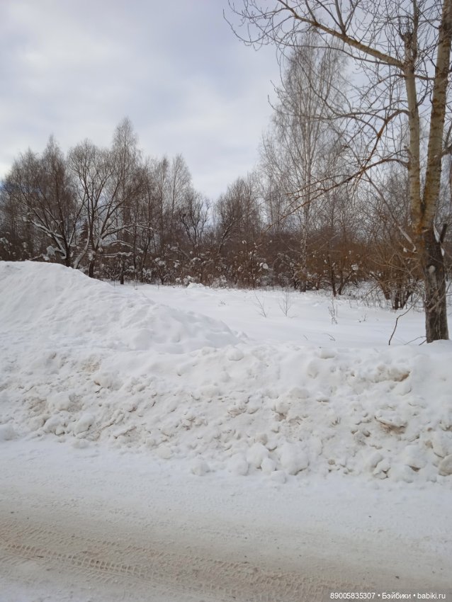 Марсель и снежная прогулка