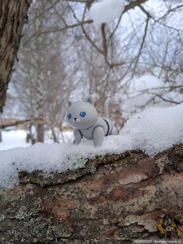 Марсель и снежная прогулка (фото 8)