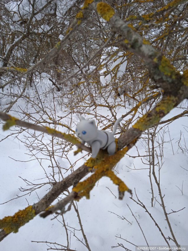 Марсель и снежная прогулка