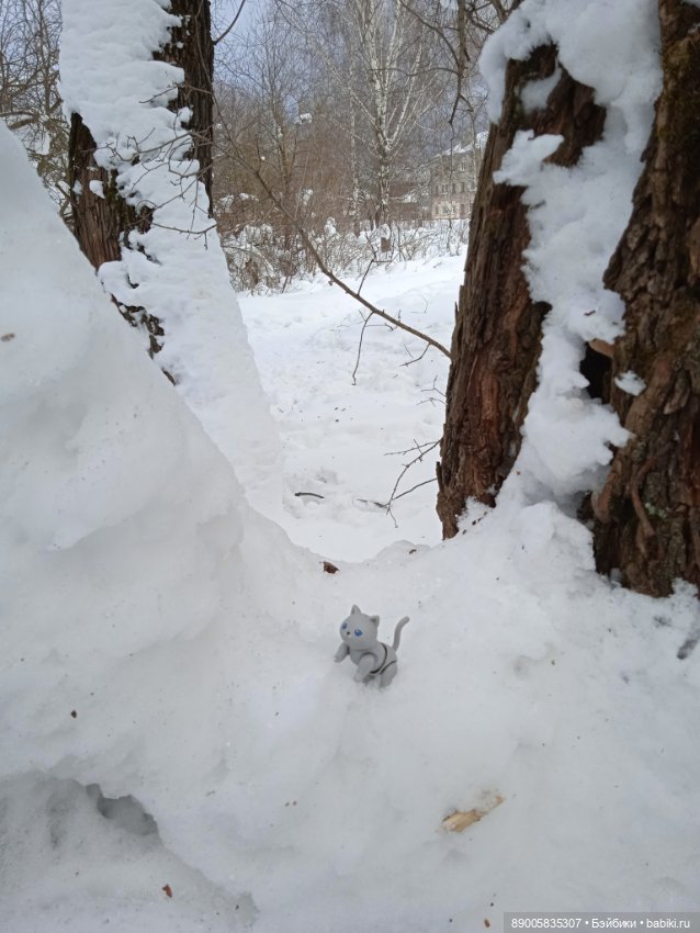 Марсель и снежная прогулка (фото 6)