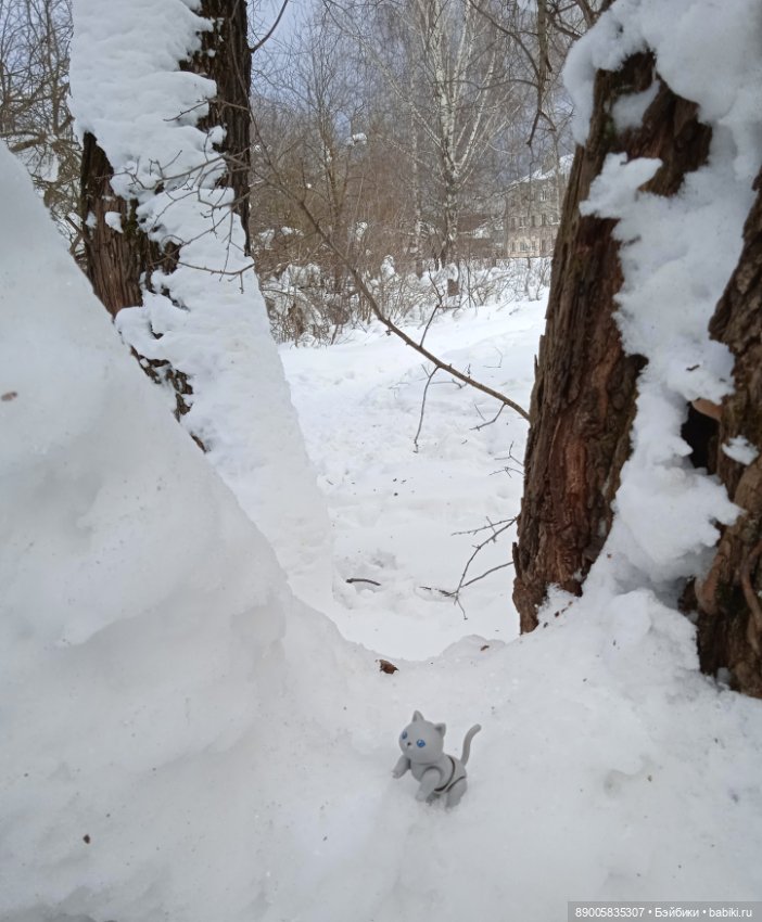 Марсель и снежная прогулка