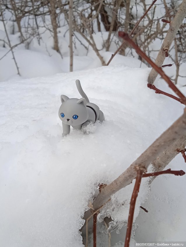 Марсель и снежная прогулка