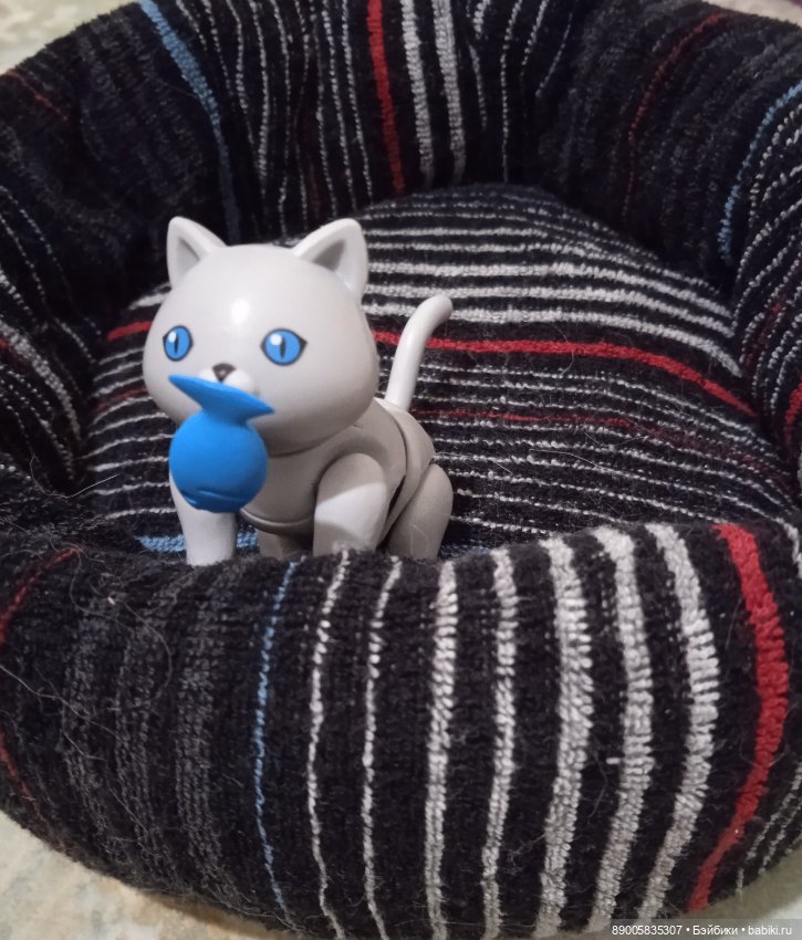 Марсель и снежная прогулка