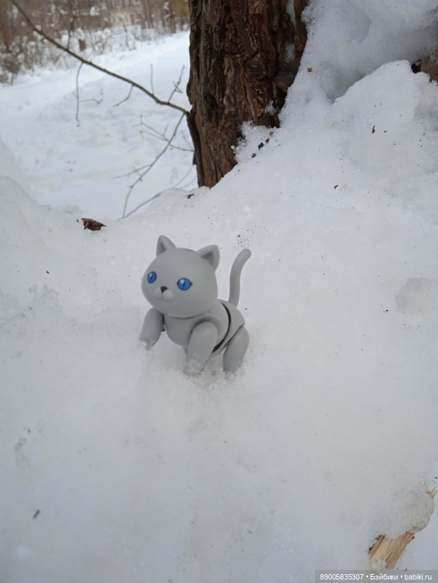 Марсель и снежная прогулка (фото 4)