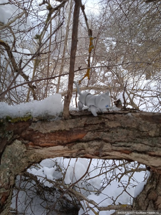 Марсель и снежная прогулка (фото 10)