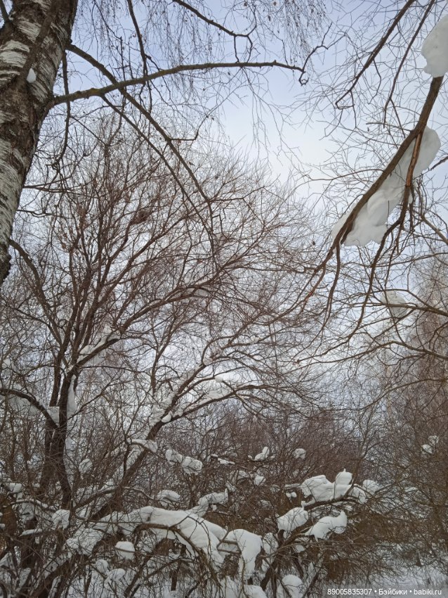 Марсель и снежная прогулка