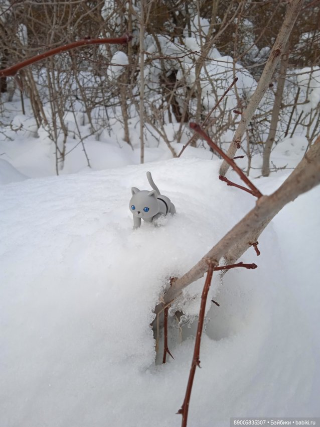 Марсель и снежная прогулка (фото 2)